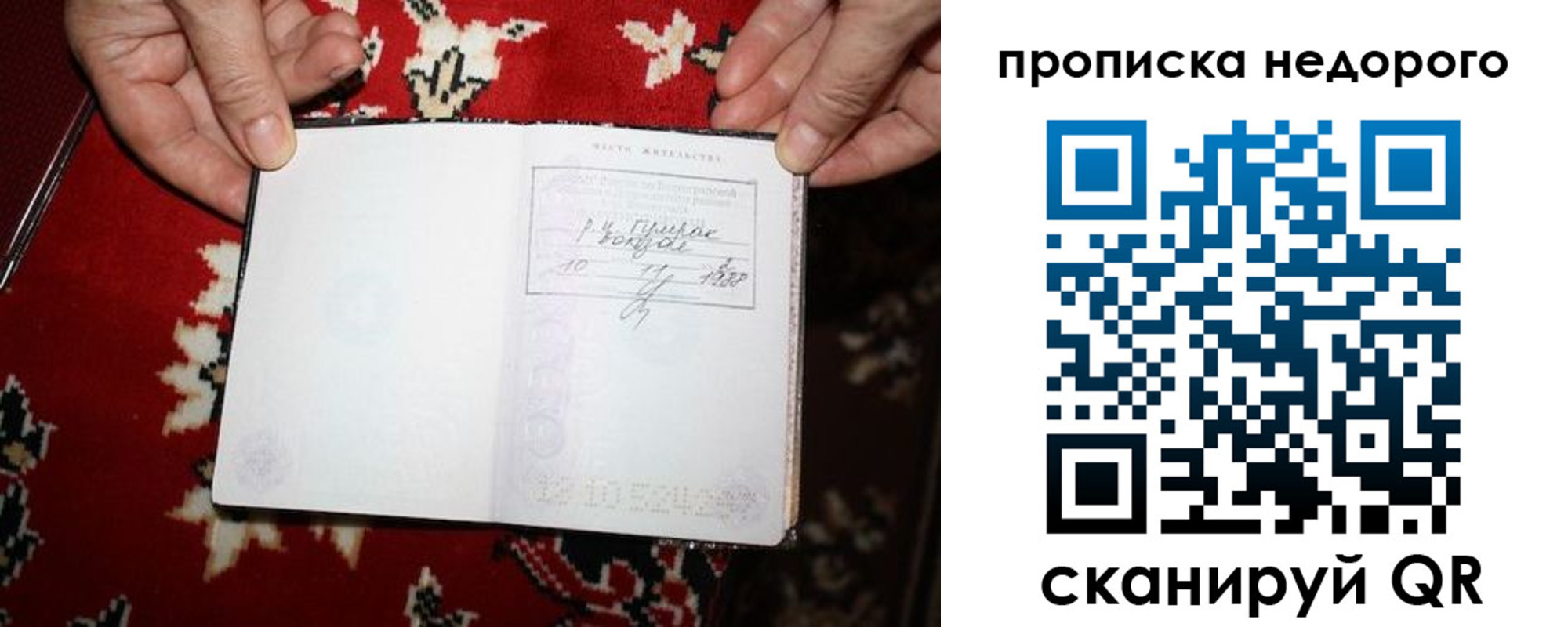 прописка гарантия в Мурманской области